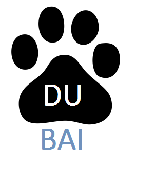How Baidu Tool Helps You To Download Quality Video