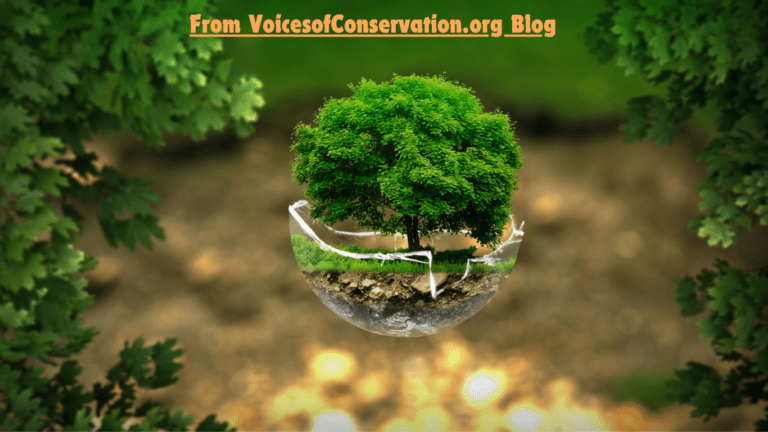 The #voicesofconservation.org blog